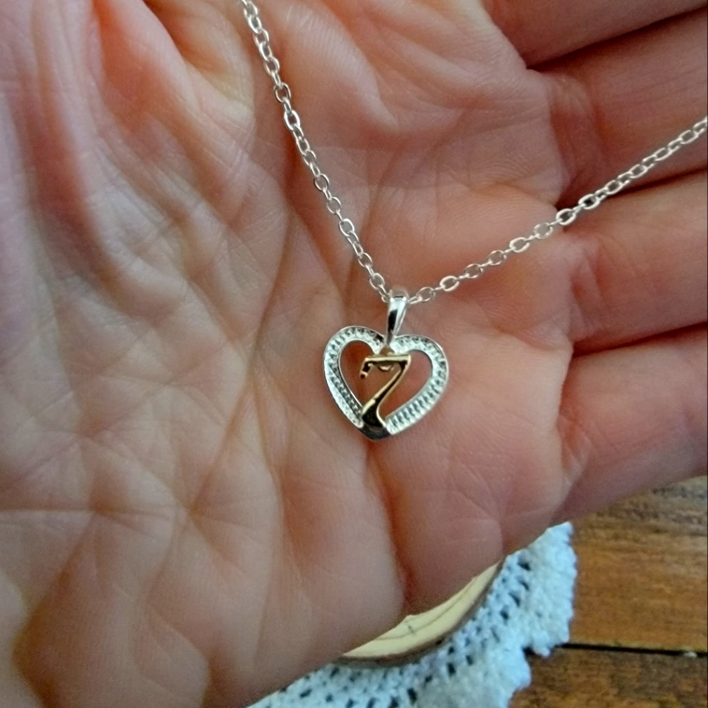 DMM Silver tone 7 necklace